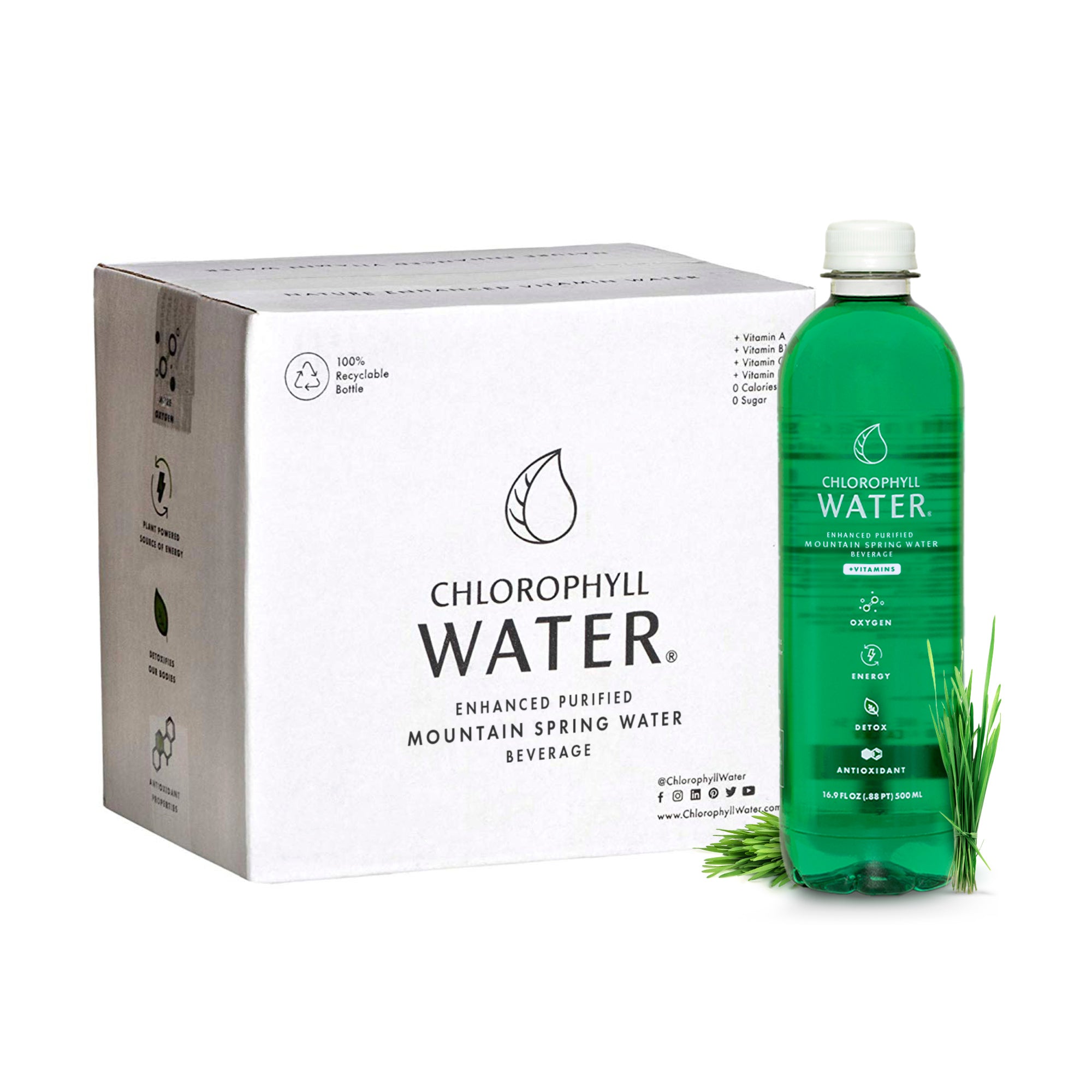 Chlorophyll water