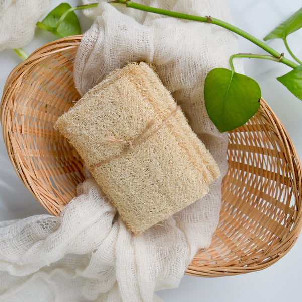 Two Acre Farm Eco Sponge 2 Pack