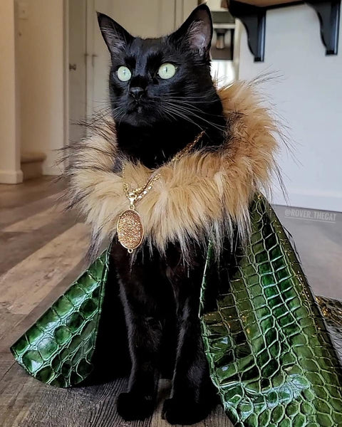 Rover in a snakeskin cape with a fur collar 