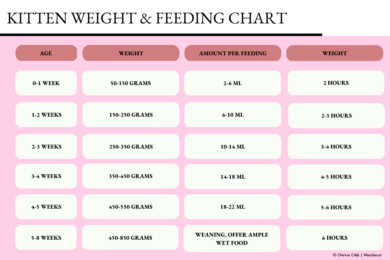 Munchiecat-Kitten Weight and Feeding Chart