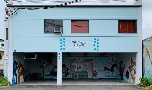 Pounce Hawaii hotel front 