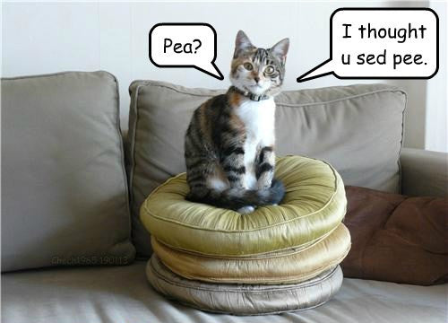 I thought you said pee, not pea. 