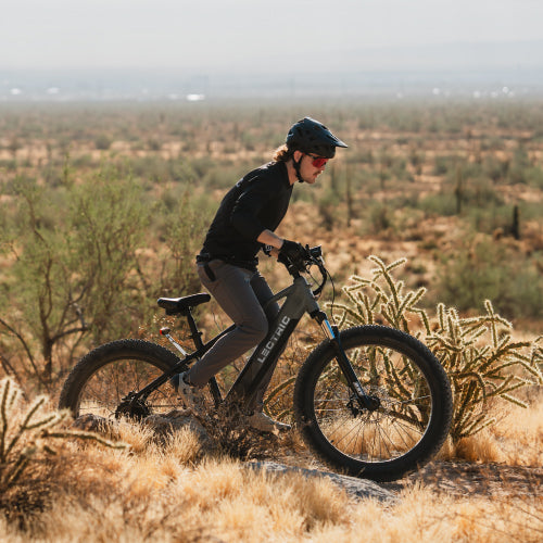 Off Road Accessories – Lectric eBikes