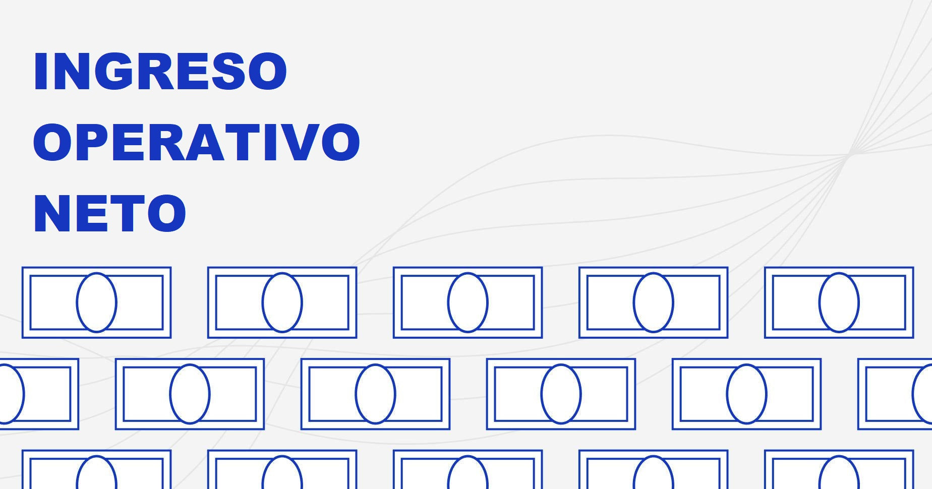 Imagen que muestra un texto que dice “ingreso operativo neto”.