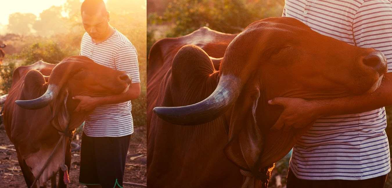 Satyajit en su granja