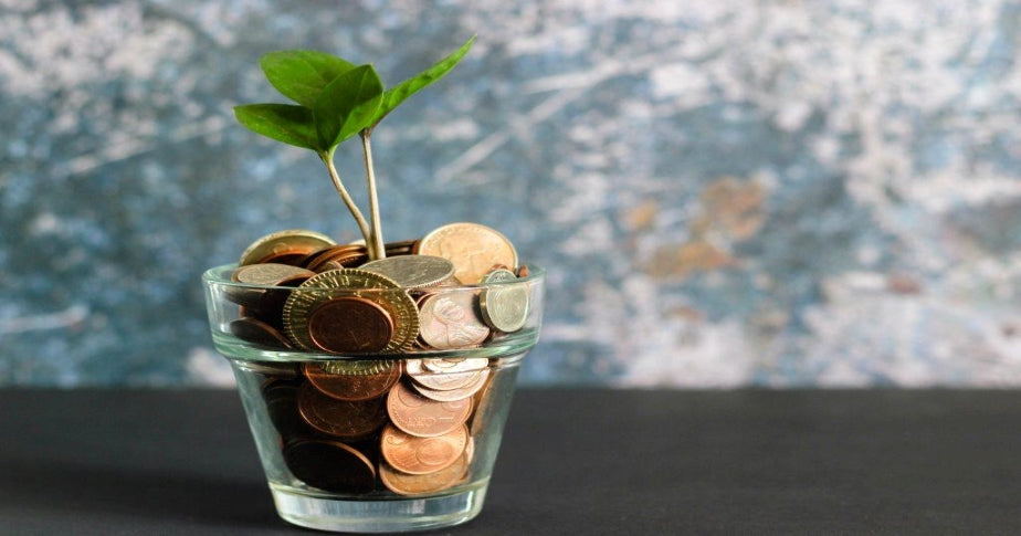 Vaso de planta com moedas no lugar de terra, uma metáfora para economizar e fazer o dinheiro render no futuro