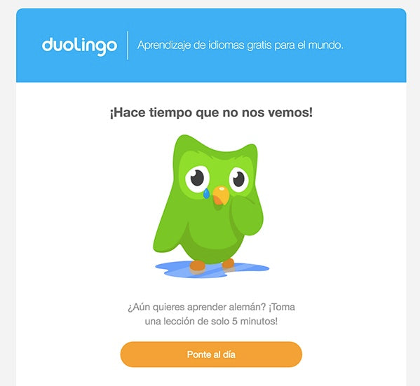 CAMPAÑA DE EMAIL MARKETING 2022