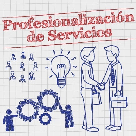 profesionalización_servicios