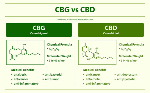 Difference between CBD and CBG