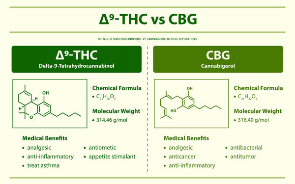 What is the difference between Delta 9 THC and CBG