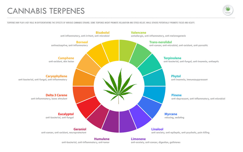 Terpenes found in Cannabis