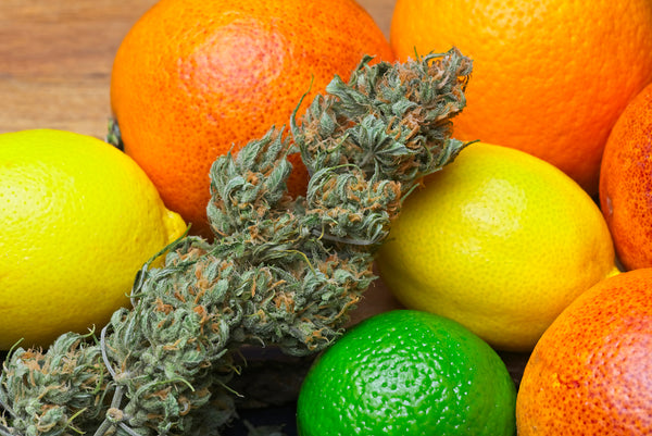 Cannabis with Limes, Lemons and Oranges