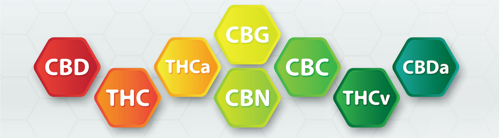 Cannabinoids explained