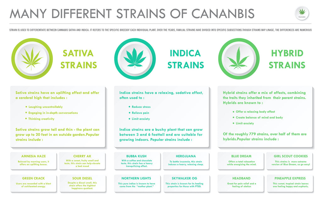 Sativa, Indica, Hybrid Cannabis Strains