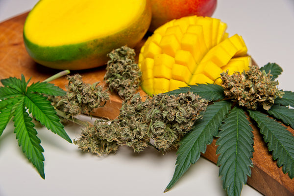 Mango and Cannabis