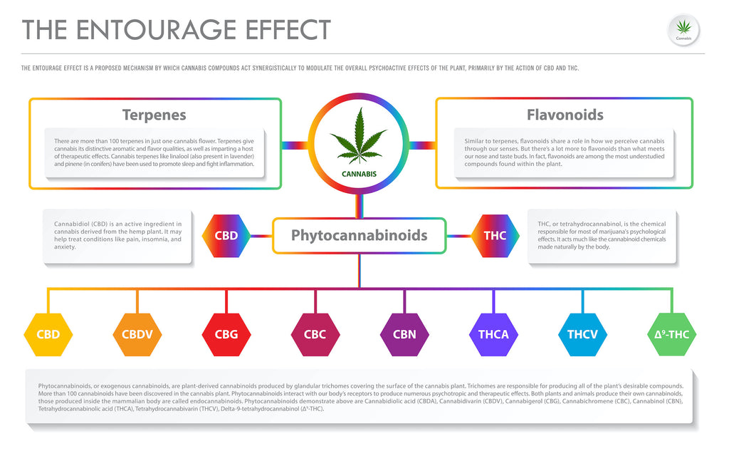 The Entourage Effect Explained