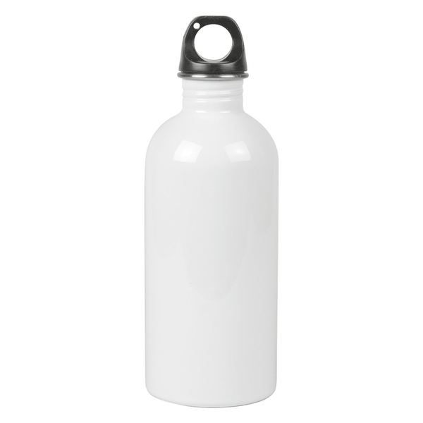 600ml Stainless Steel Straw Top Water Bottle (Silver) (BGHS01) FL-10