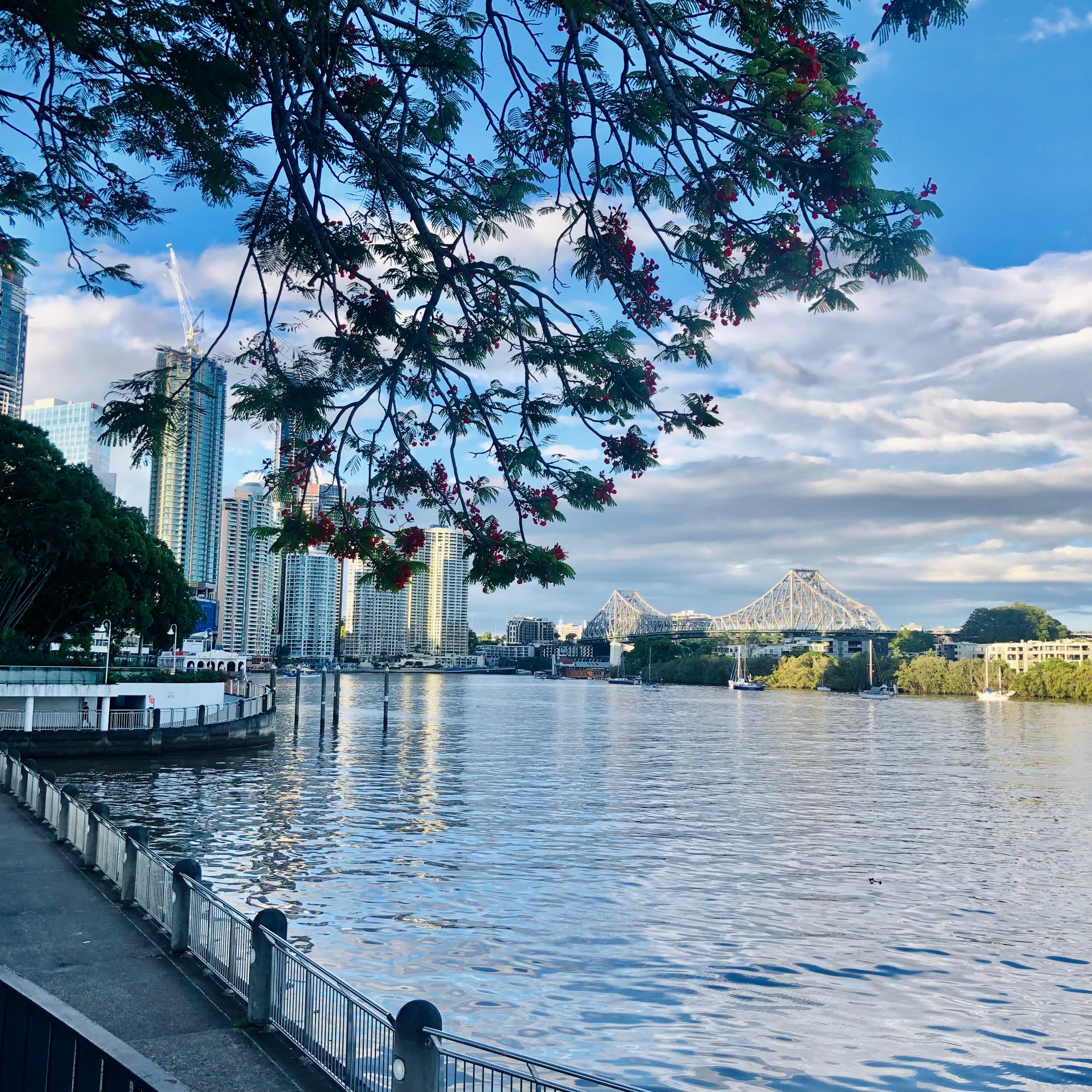 View of Brisbane River