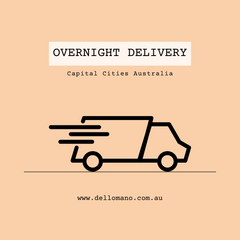 Dello Mano Overnight Delivery Truck Details