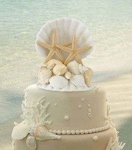 Beach Wedding Ideas