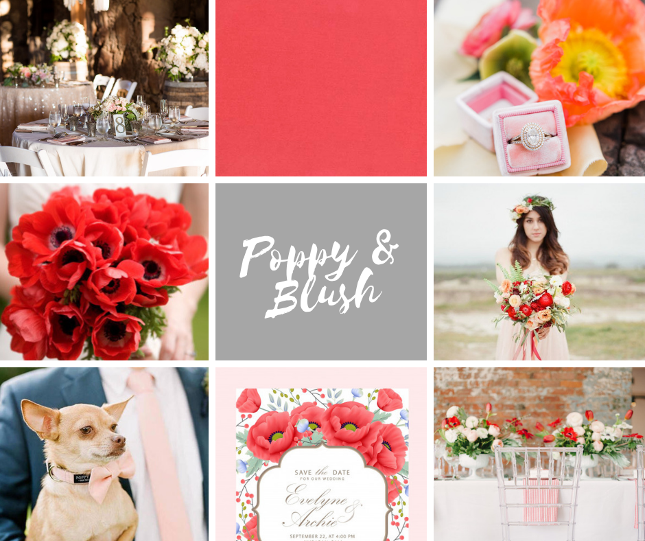 Wistful Wedding Colors | Poppy and Blush