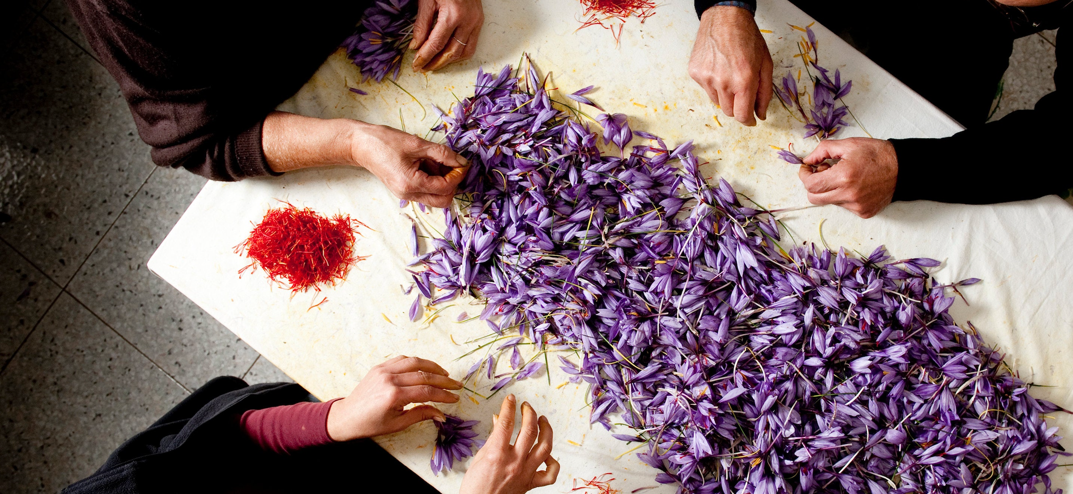 how to make saffron flowers into spice