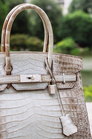 Complete Buying Guide: Hermès Himalayan Birkin