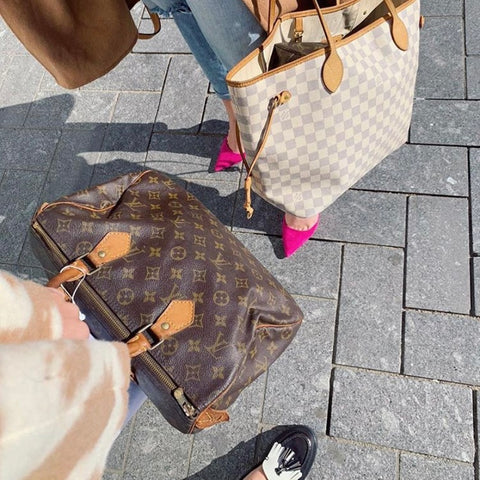 Louis Vuitton Speedy and Neverfull
