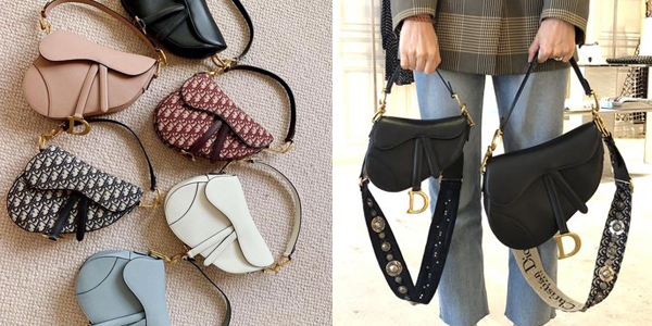 celebrities wearing dior saddle bag