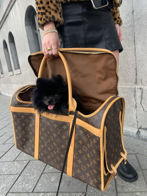 Replica Louis Vuitton Wild Puppet Alma Dog Bag Charm en sleutelhouder te  koop met goedkope prijs bij Fake Bag Store