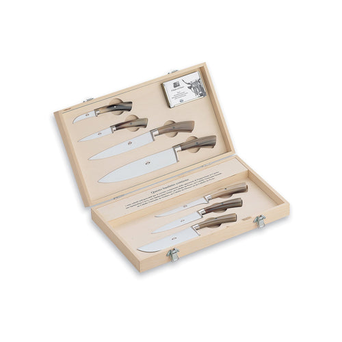 White Insieme Kitchen Knife Set, 5 Knives – Collecto