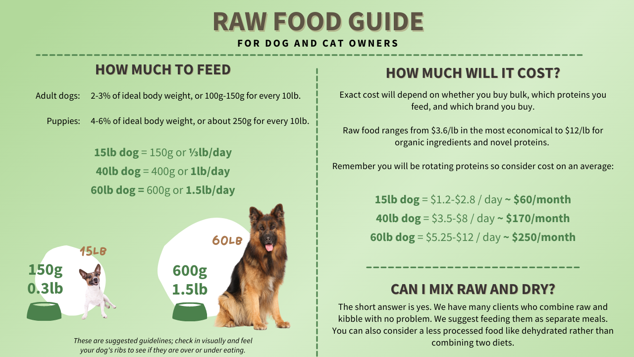 Raw Food Guide Page 1