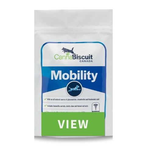 Cannabiscuit Mobility Chew