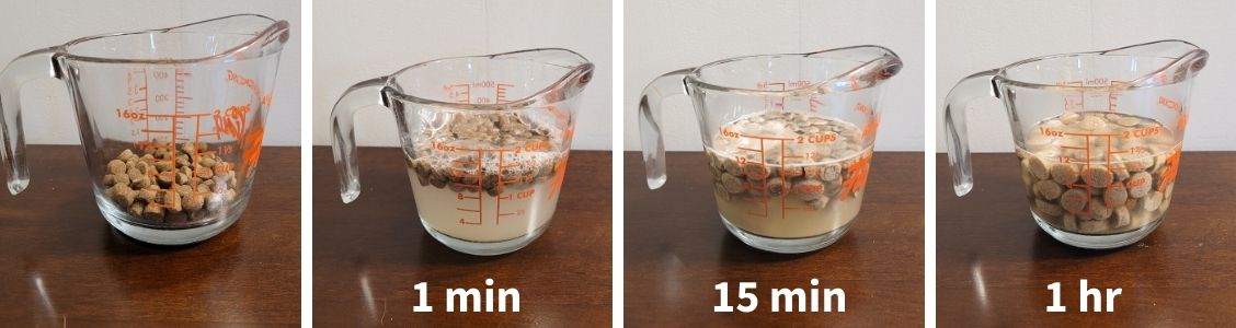 soaking kibble over time