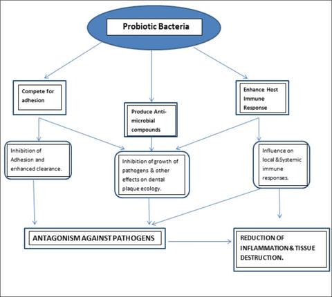 chart of probiotic effects in oral cavity