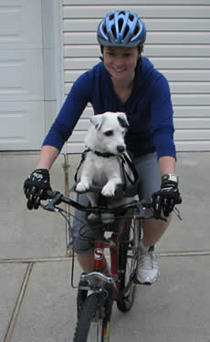 bike buddy dog carrier