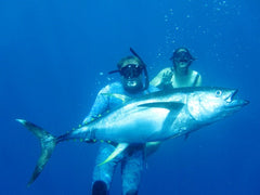 Palapas Ventana Trip yellowfin Tuna in Panama