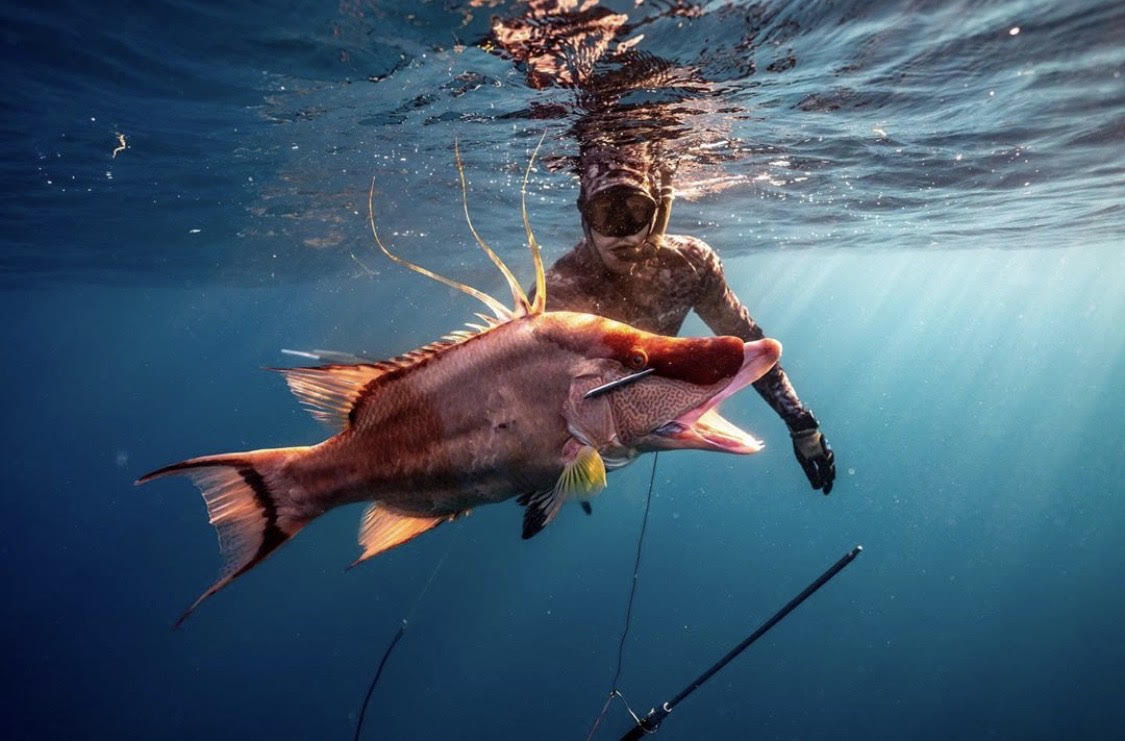 Spearfishing with Chad Bagwell Headhunter Spearfishing Polespear