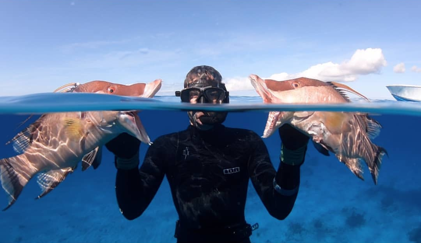 Polespear, Hog Fish, Headhunter Spearfishing, Spearfishing, Freediving, 