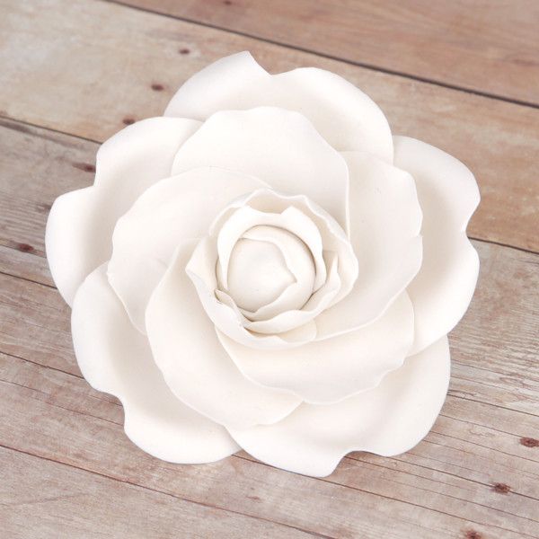 Camellia - White – CaljavaOnline