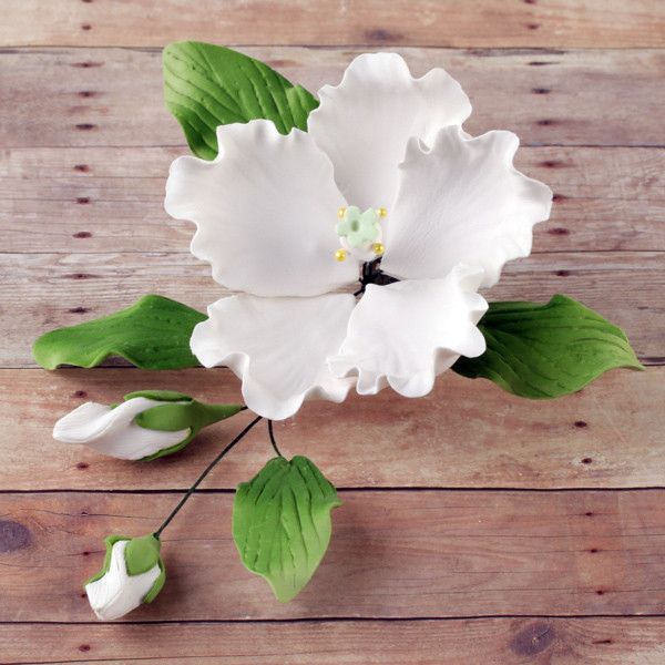 Hibiscus Sprays White Caljavaonline