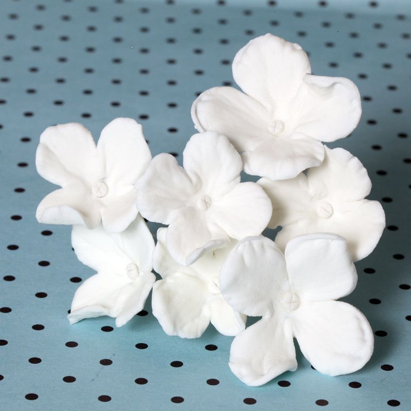 Image of Cheap hydrangeas single hydrangea flower close-up