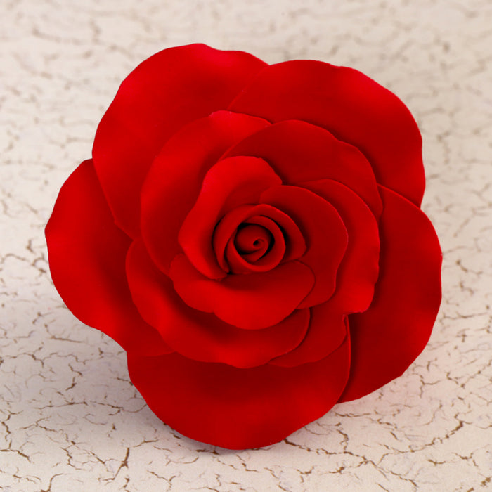 Garden Roses - Red — CaljavaOnline