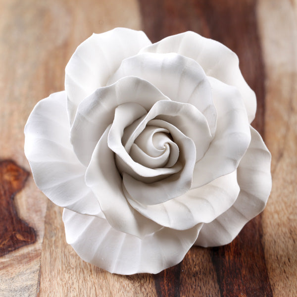 Extra Large Garden Roses - White — CaljavaOnline