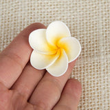 Full Bloomed Plumerias – CaljavaOnline