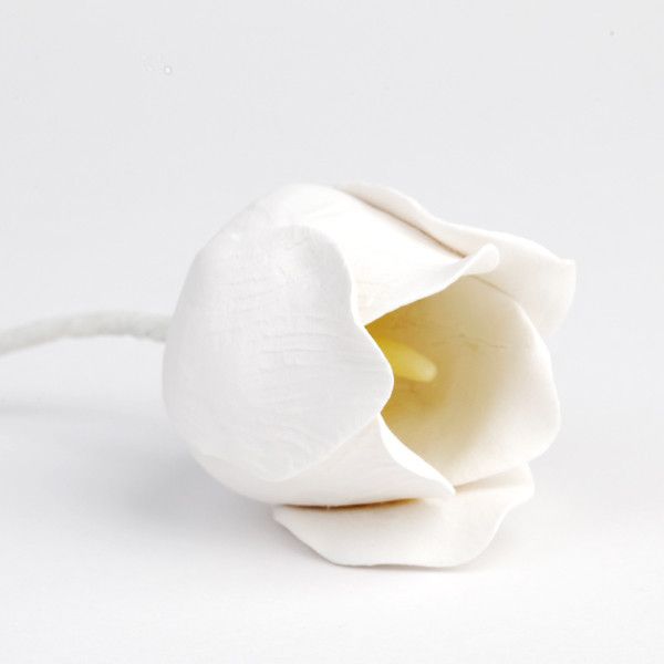Single Medium Tulips - White – CaljavaOnline