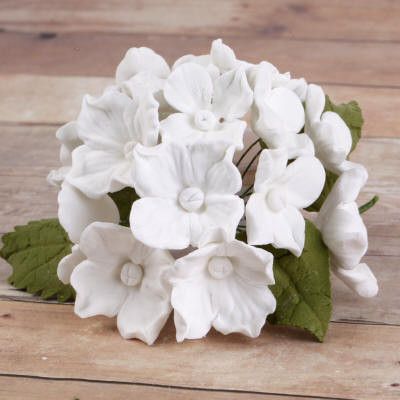 10 Bunches of Hydrangeas and Leaves - White
