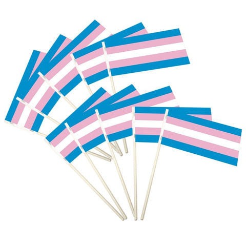 Transgender Pride Flag – BRC