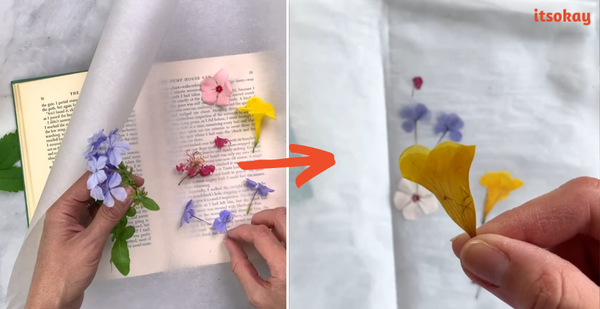 bloemen drogen tussen een boek