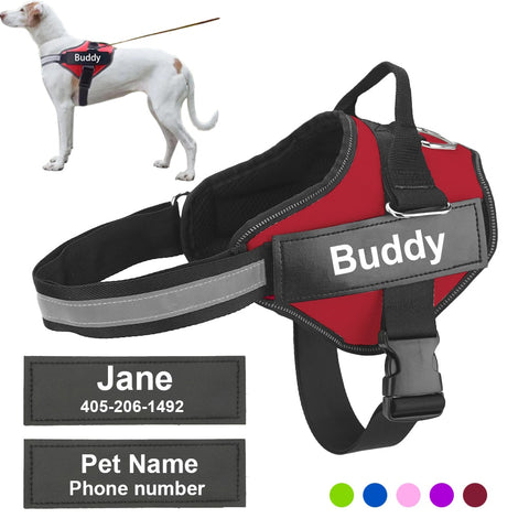 puppie collars customized harness tag dog